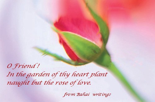 in the garden of thy heart